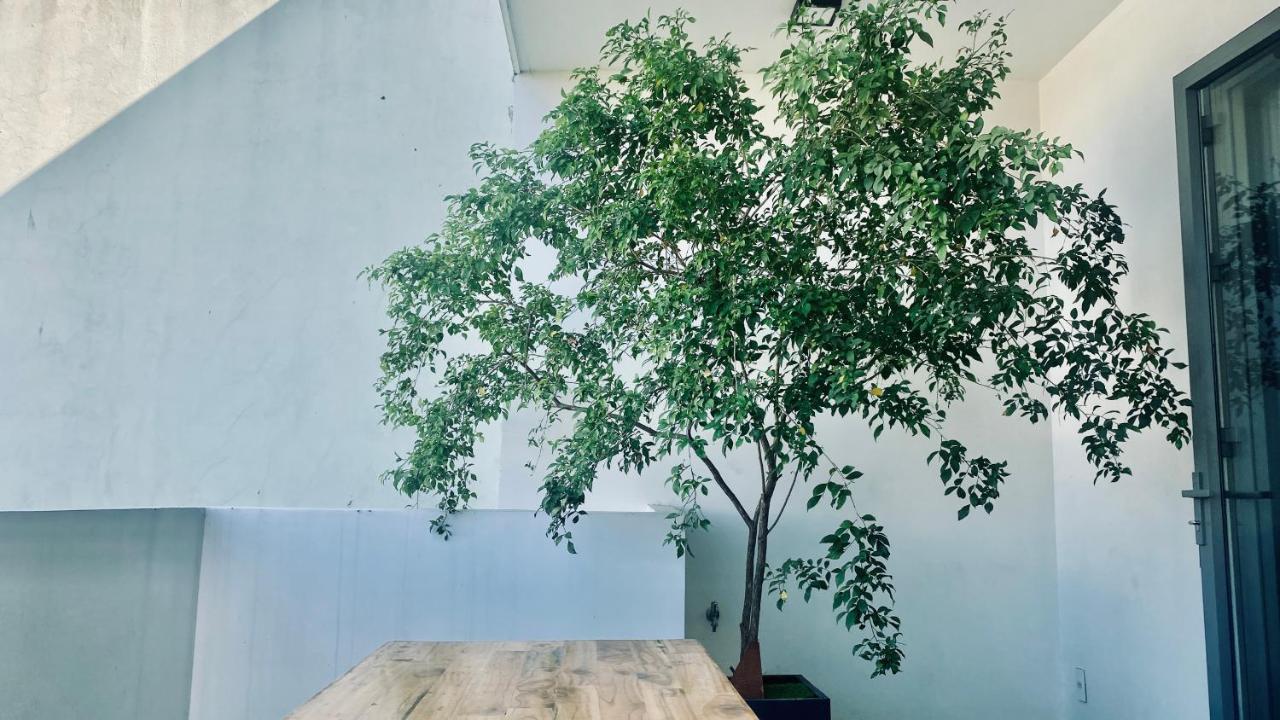 Lalin Home Hotel - Khach San Mini Khu My An Gan Bien Da Nang Eksteriør bilde
